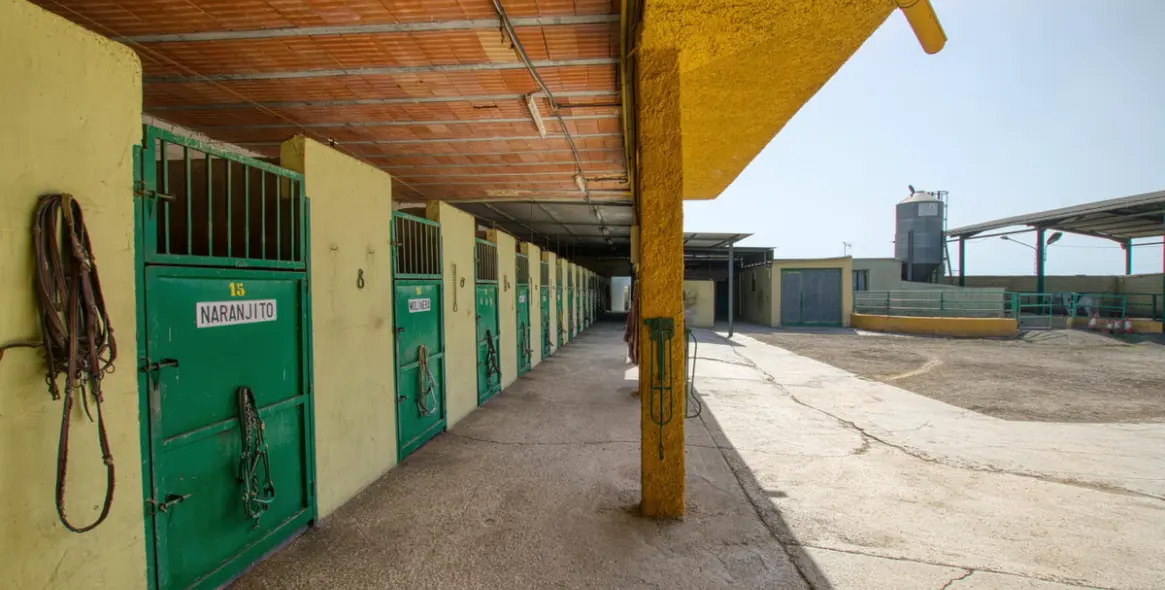 Sale of finca - cortijo in El Tomillar 14