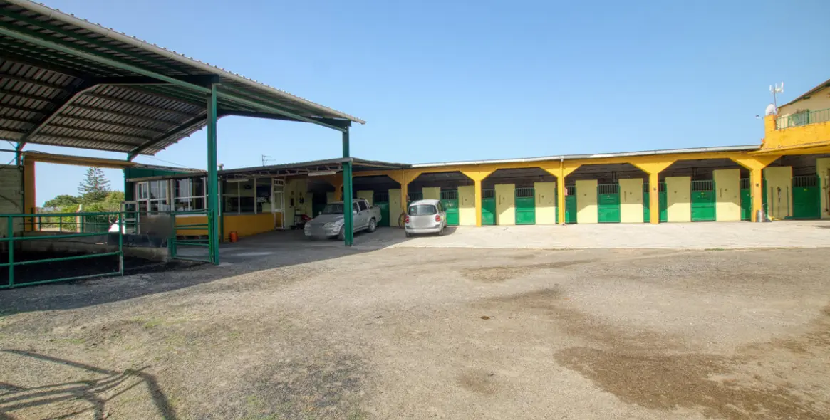 Sale of finca - cortijo in El Tomillar 2