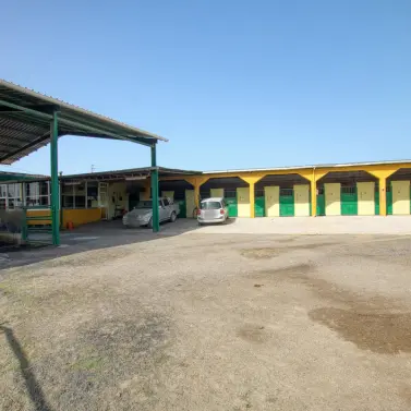 Sale of finca - cortijo in El Tomillar