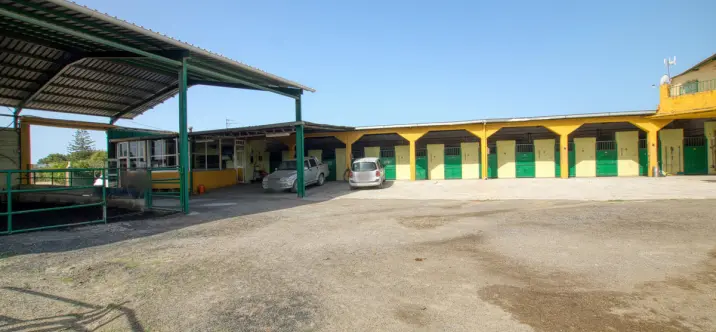 Sale of finca - cortijo in El Tomillar 1