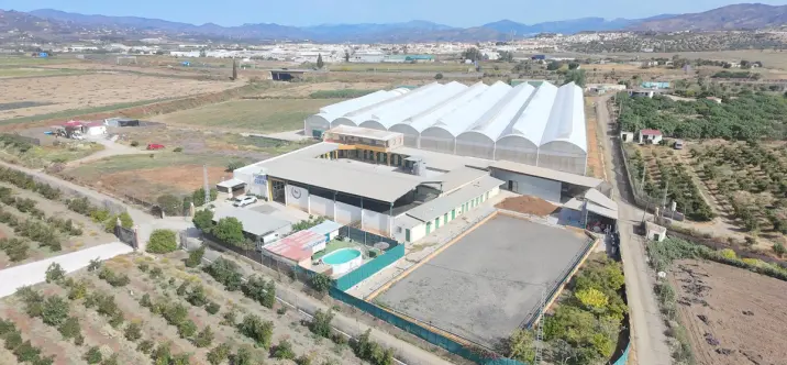 Sale of finca - cortijo in El Tomillar 2