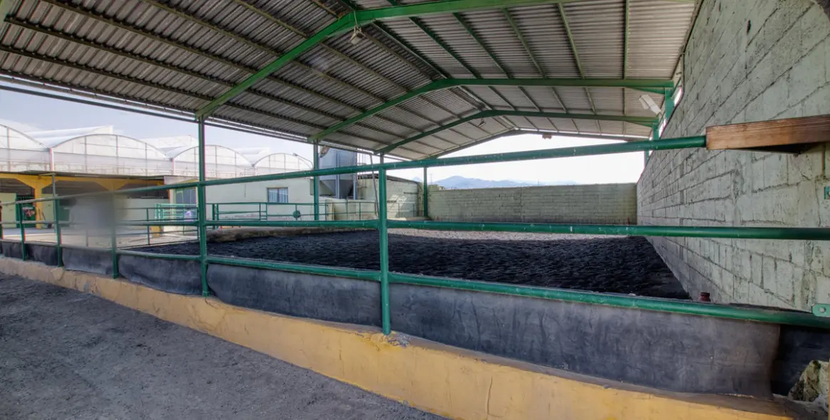 Sale of finca - cortijo in El Tomillar 9