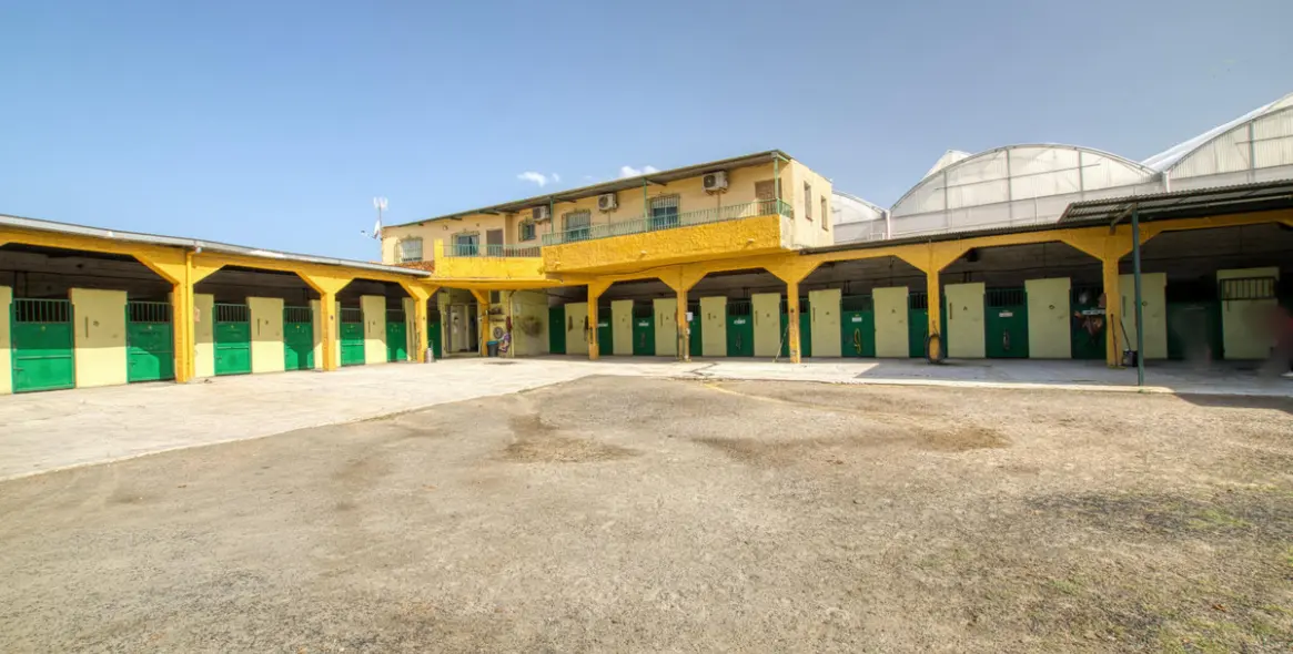 Sale of finca - cortijo in El Tomillar 11