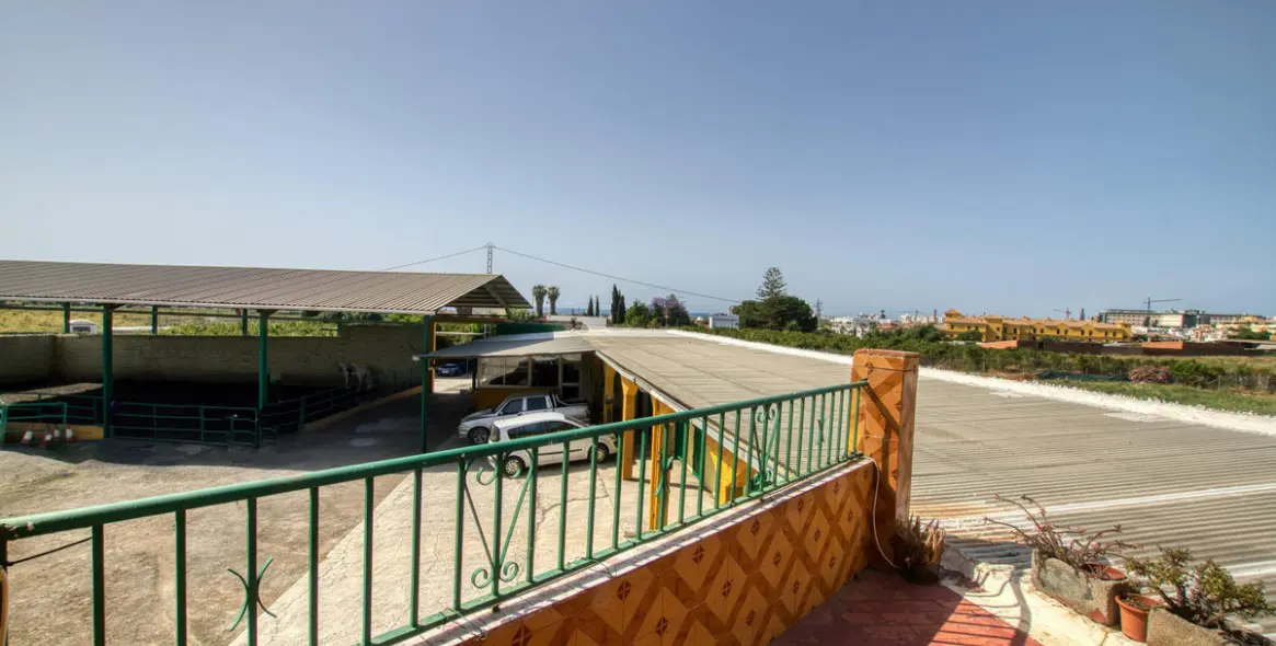 Sale of finca - cortijo in El Tomillar 15