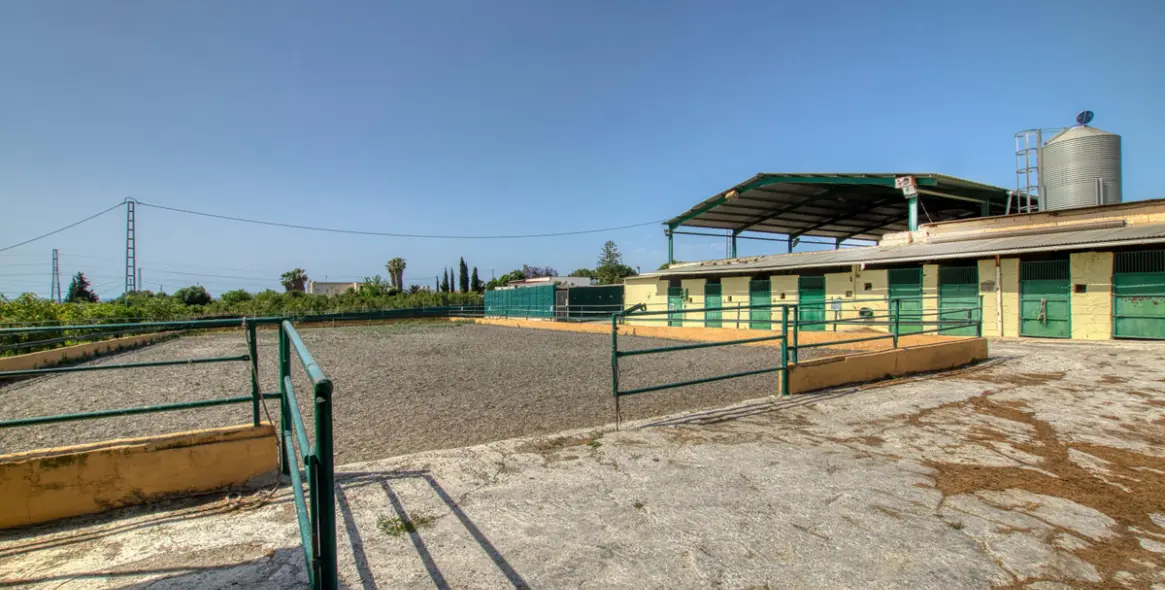 Sale of finca - cortijo in El Tomillar 37