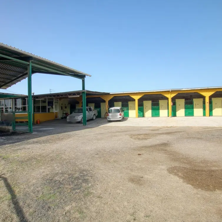 Sale of finca - cortijo in Vélez-Málaga