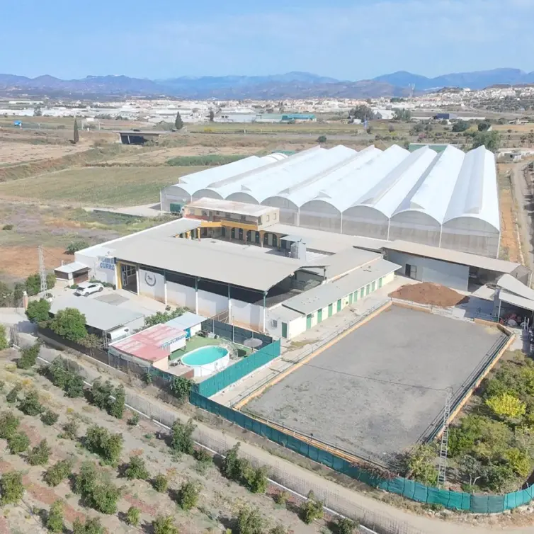 Sale of finca - cortijo in Vélez-Málaga