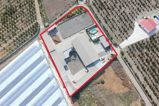 Image 7 thumb