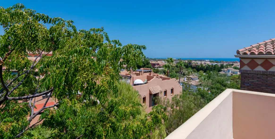 Sale of penthouse duplex in Bel Air 14