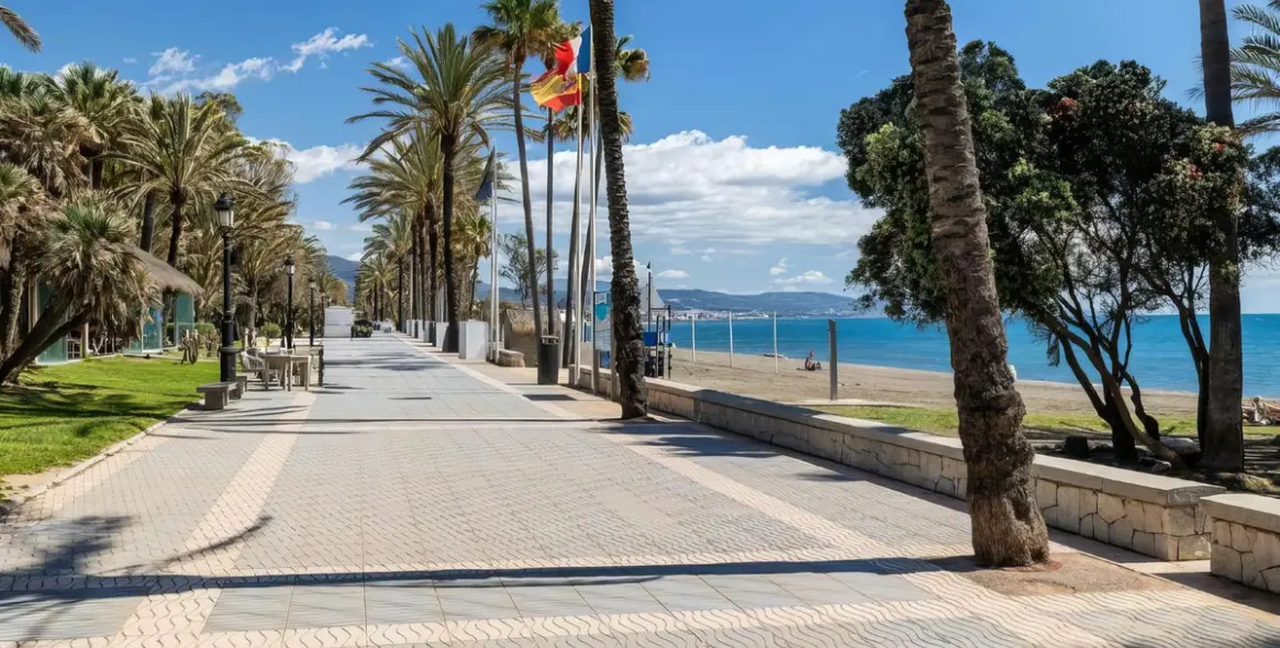 Sale of café in San Pedro de Alcántara 2