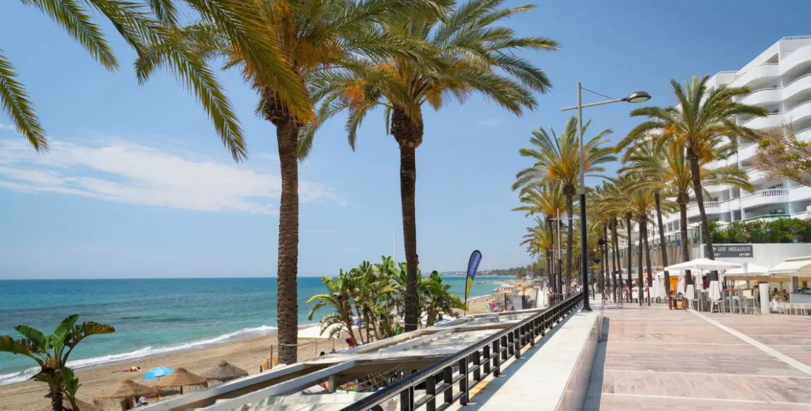 Sale of café in San Pedro de Alcántara 4
