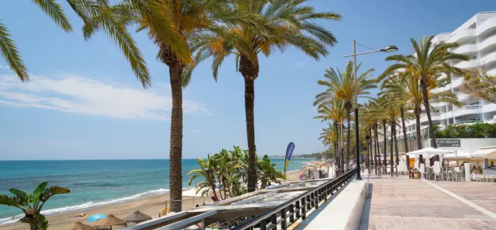 Продажа кафе в San Pedro de Alcántara 3