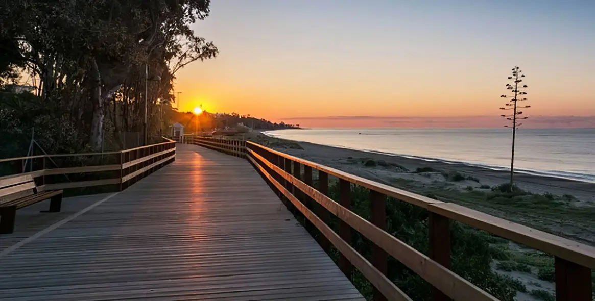 Sale of café in San Pedro de Alcántara 6