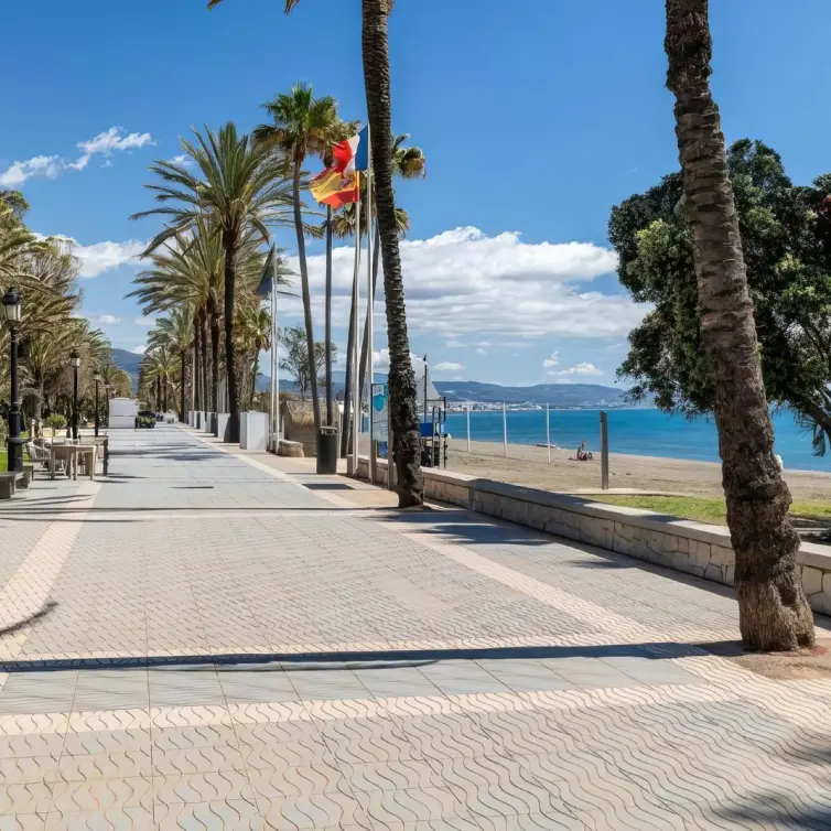Продажа кафе в San Pedro de Alcántara