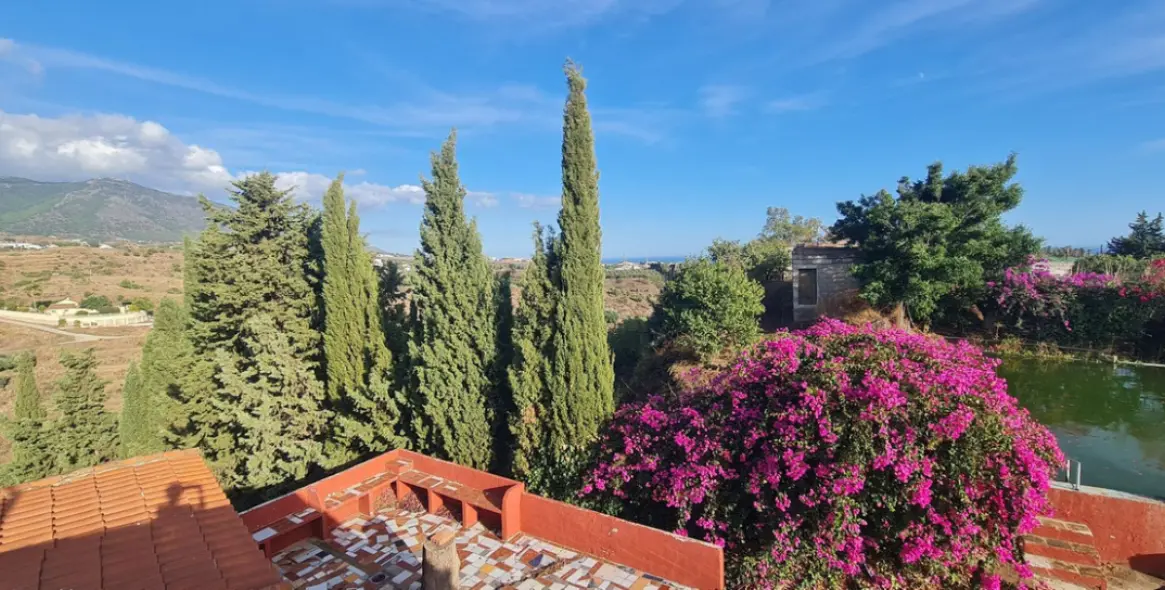 Sale of finca - cortijo in Fuengirola 3
