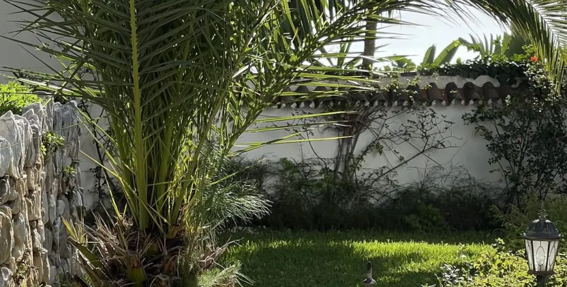 Sale of finca - cortijo in Mijas 8