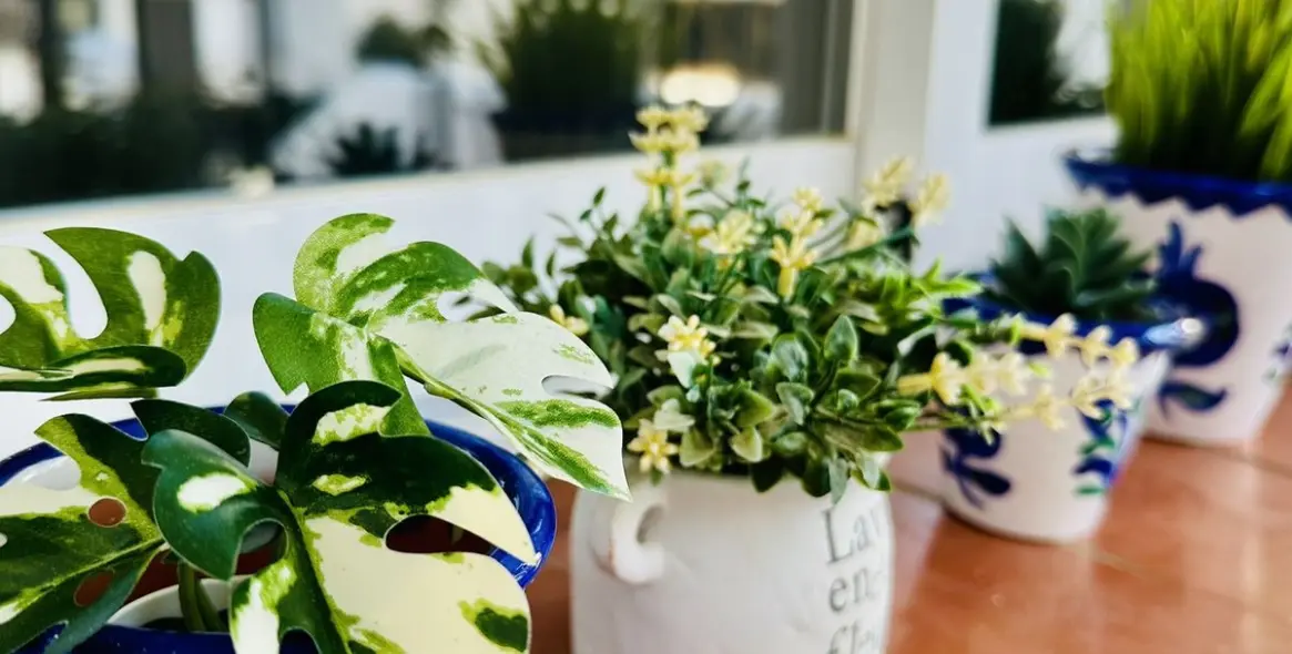 Long-term rent of penthouse in Estepona 18