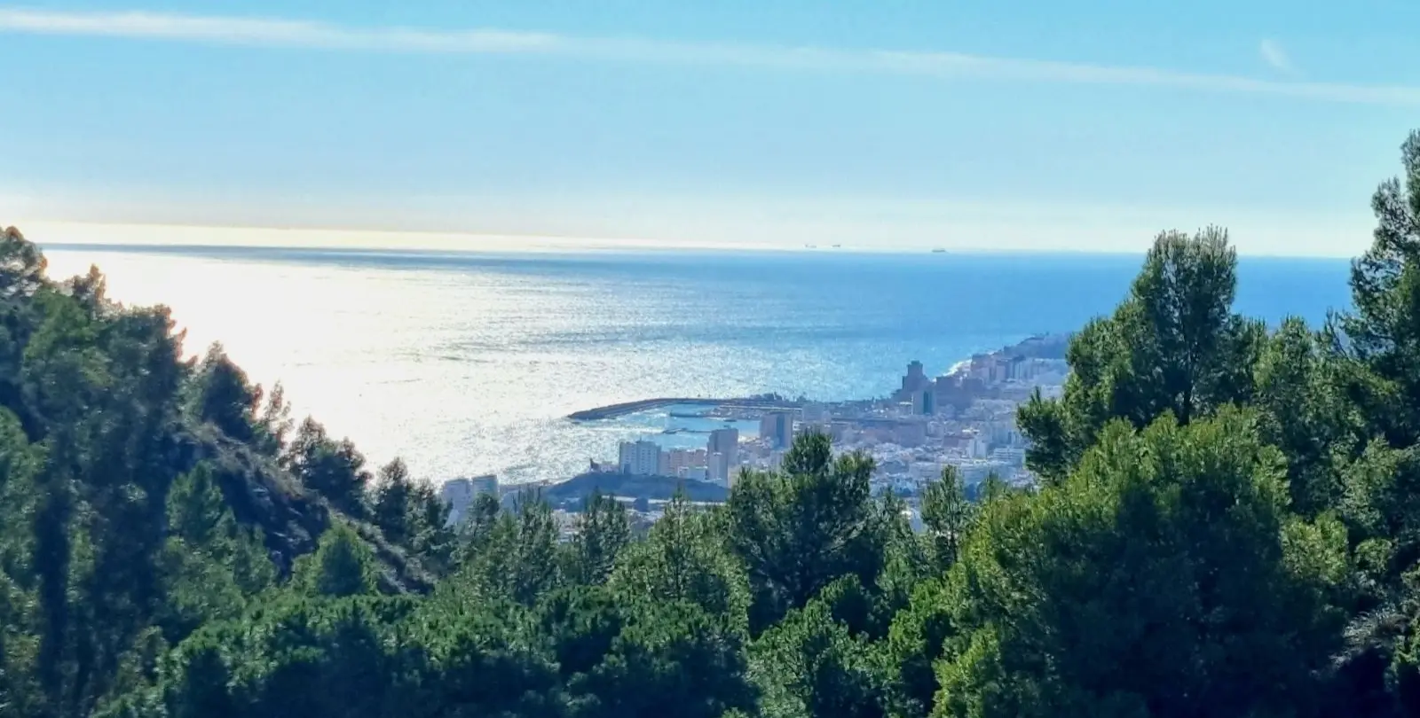 Sale of penthouse duplex in Mijas 32