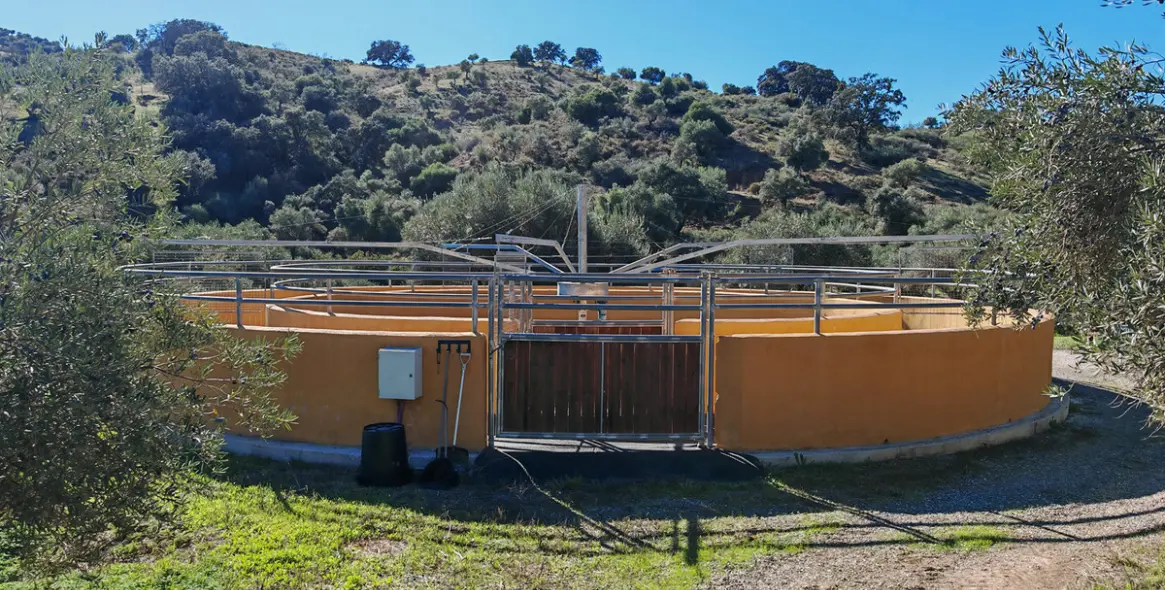 Venta de finca - cortijo en Coín 6