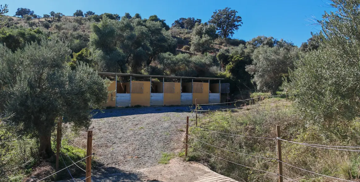 Venta de finca - cortijo en Coín 7