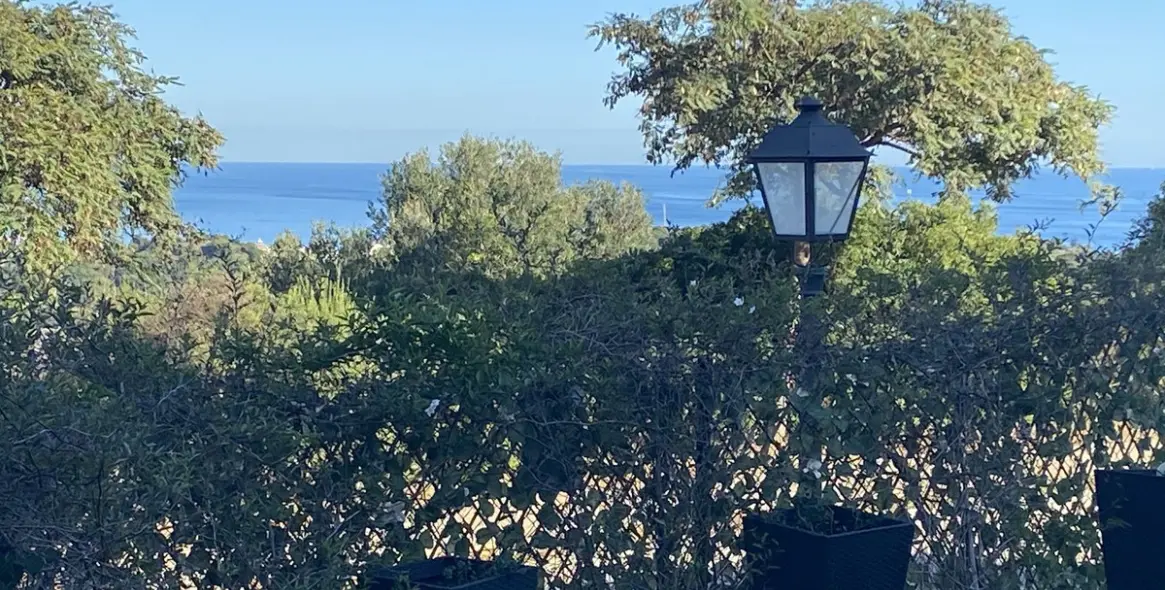 Sale of townhouse in Casares Playa 22