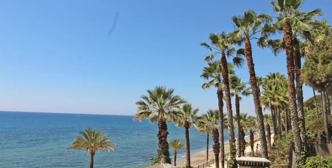 Долгосрочная аренда пентхауса в Marbella 1