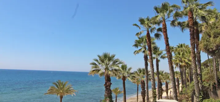 Long-term rent of penthouse in Marbella 0