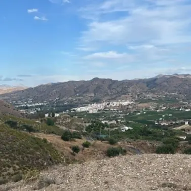 Sale of residential plot in Alora