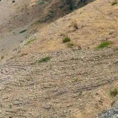 Sale of residential plot in Alora