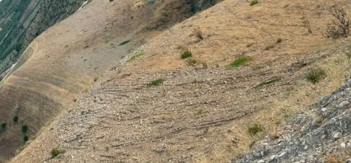 Sale of residential plot in Alora 2