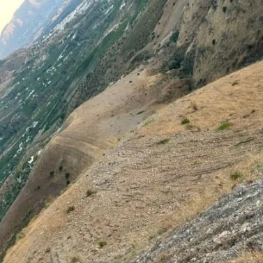 Sale of residential plot in Alora