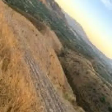 Sale of residential plot in Alora