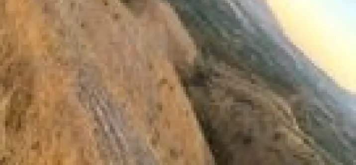 Sale of residential plot in Alora 4