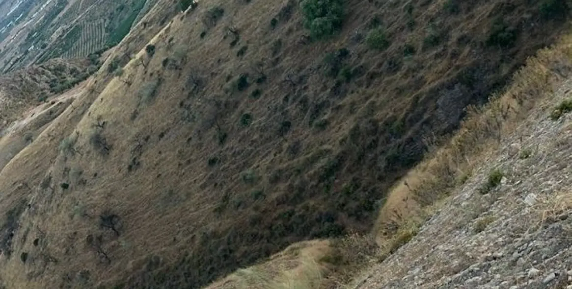 Sale of residential plot in Alora 6