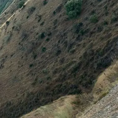 Sale of residential plot in Alora