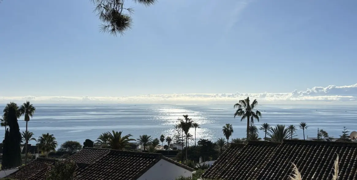 Sale of detached villa in Estepona 4