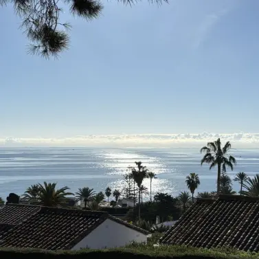 Sale of detached villa in Estepona