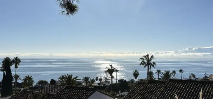 Sale of detached villa in Estepona 3