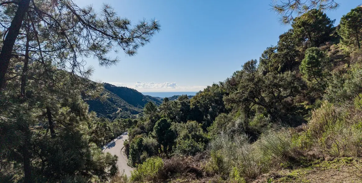 Продажа  жилого участка в Benahavís 3