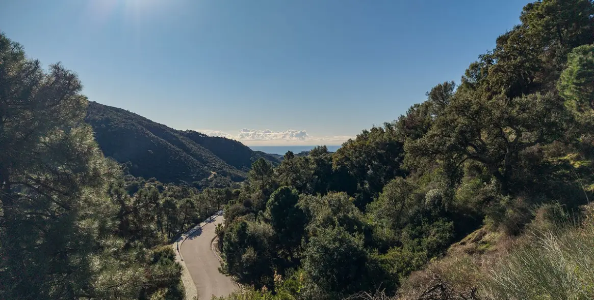 Продажа  жилого участка в Benahavís 18