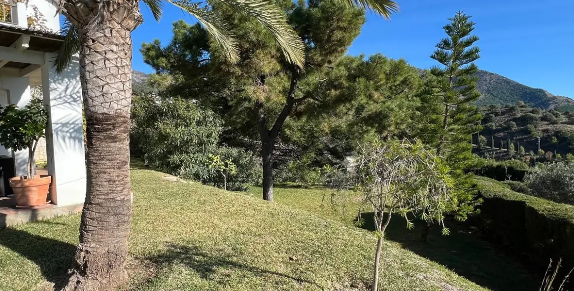 Продажа  отдельно стоящей виллы в Mijas 8
