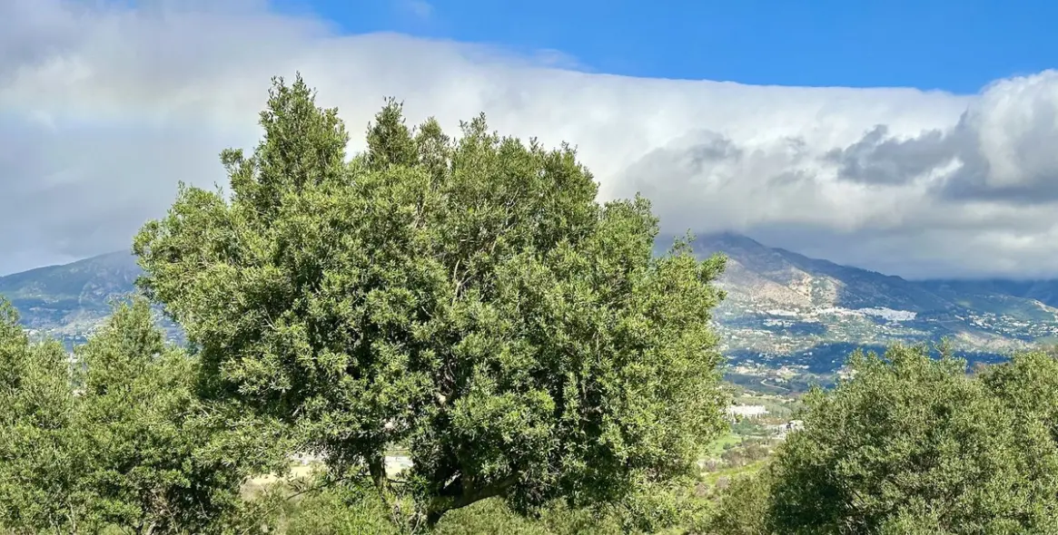 Продажа  жилого участка в La Cala 4