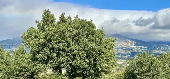 Продажа  жилого участка в La Cala 3