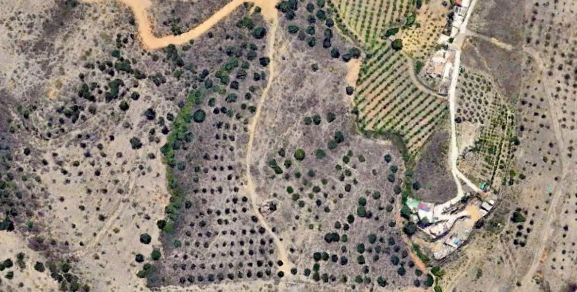 Продажа  жилого участка в La Cala 7