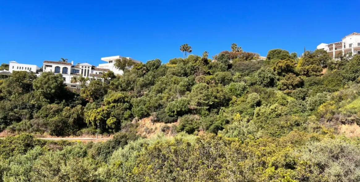Продажа  жилого участка в Benahavís 1
