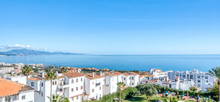 Sale of penthouse duplex in La Duquesa 0