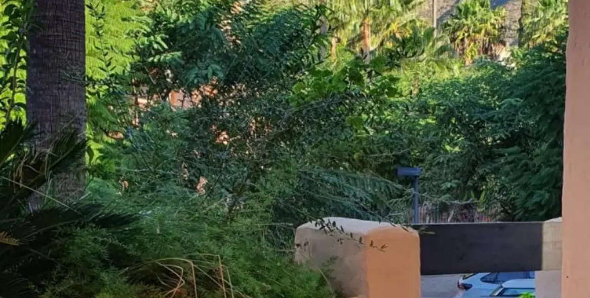 Long-term rent of ground floor apartment in Marbella 5