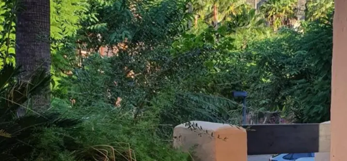 Long-term rent of ground floor apartment in Marbella 4