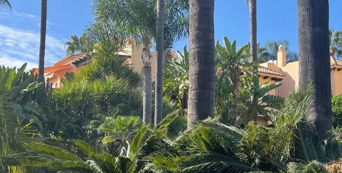 Long-term rent of ground floor apartment in Marbella 20