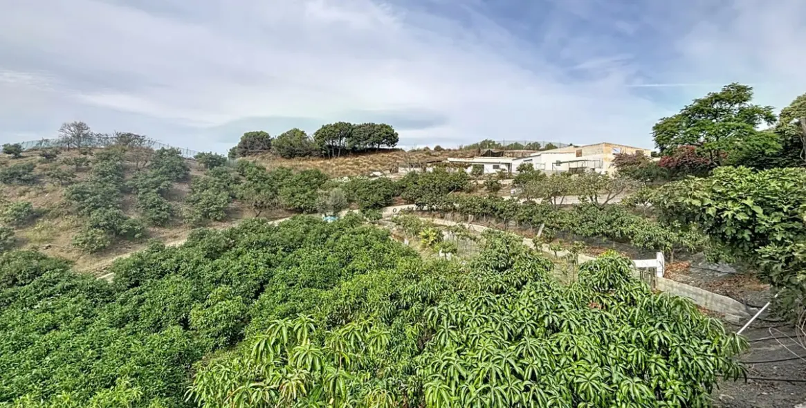 Продажа дома на две семьи в Vélez-Málaga 38